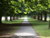 Bushey Park
