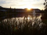 Arlington Business Park M4 J12