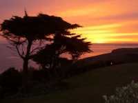 Garden of Polurrian Hotel, Mullion, Cornwall, at sunset